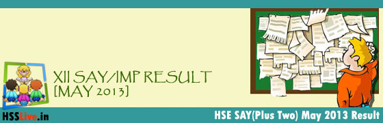 Plus Two SAY IMP Result 2013