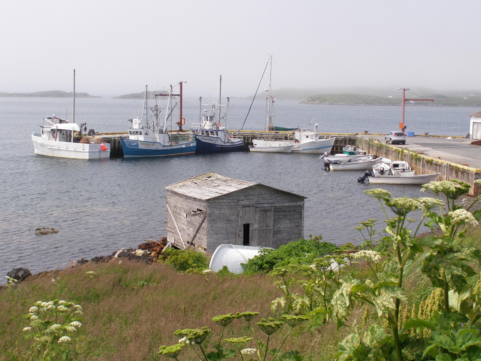 Northern Exposure 2012 Goose Cove, Newfoundland