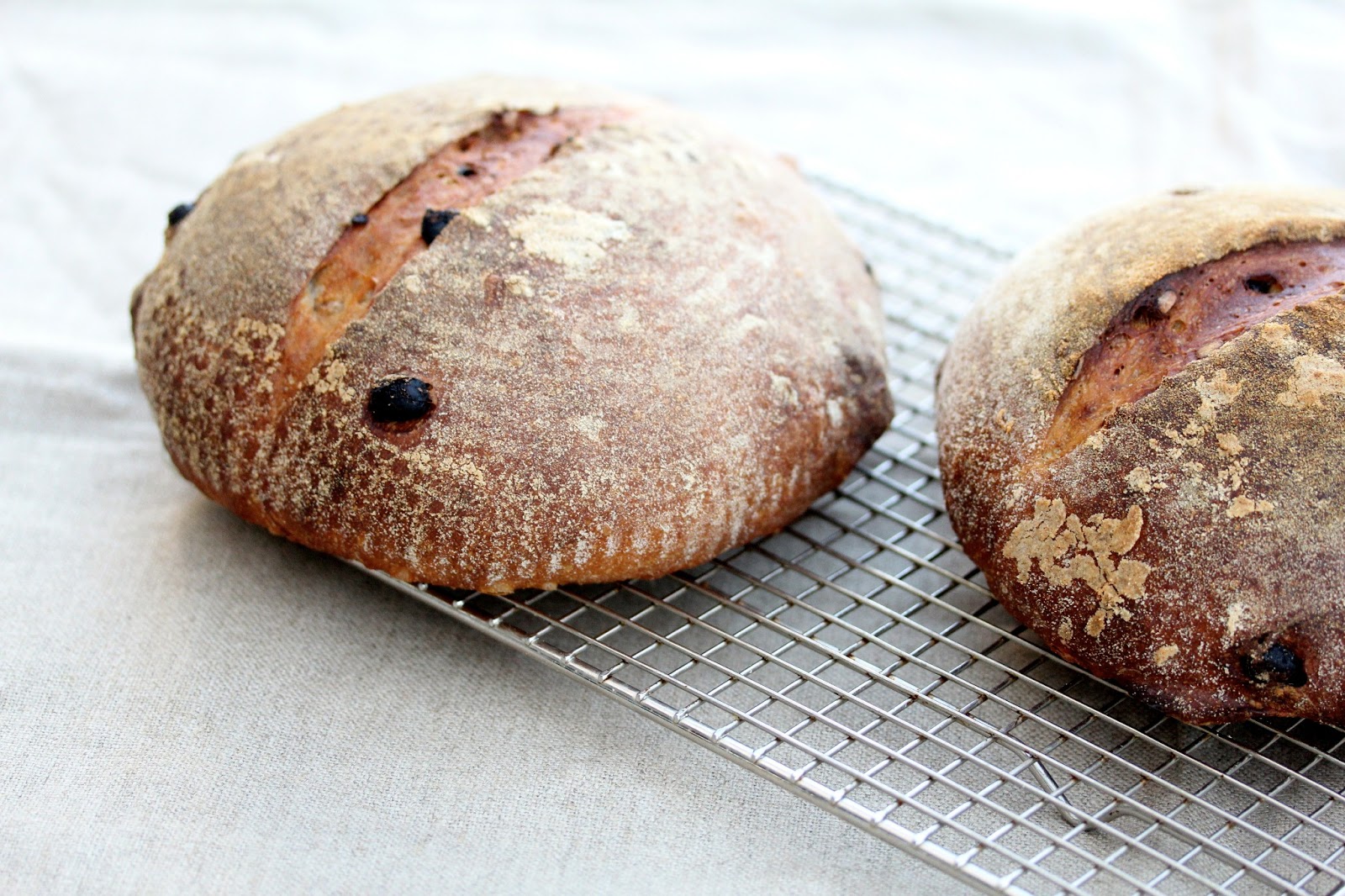 Sourdough Bread with Walnuts & Raisins Karen's Kitchen Stories