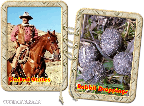 Rabbit Droppings hangover cure Rabbit Droppings hangover cure