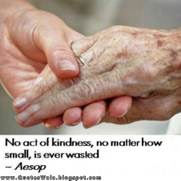 wisdom quotes wisdom quotes
