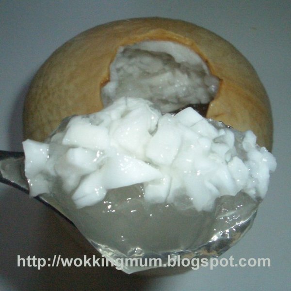 Let's get Wokking! Coconut Jelly 椰子果冻 Singapore Food Blog on easy