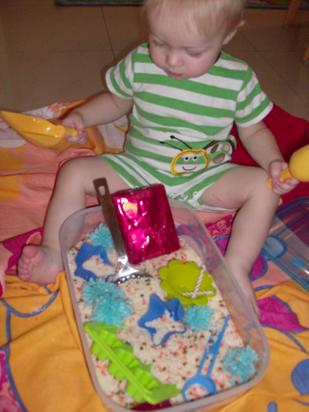 Chadwicks' Picture Place Sensory Box Theme Ideas