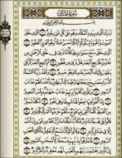 د محمود فتوح محمد blogger