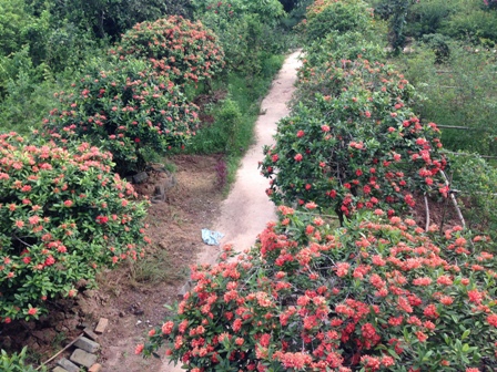 [Image: ngoi-nha-mau-don-lang-man-hon-phim-han-g...-nam-6.jpg]