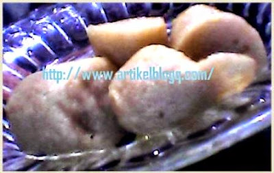 gambar Pempek Makanan Favorit Blogger Palembang