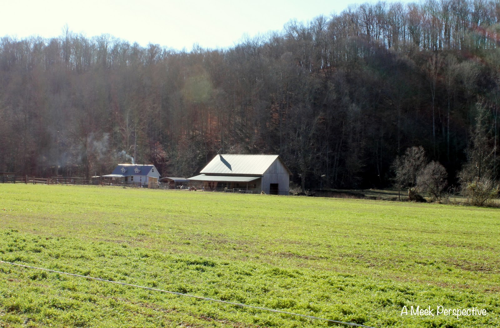 A Meek Perspective Road Trip Lobelville, TN