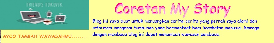 Coretan My Story