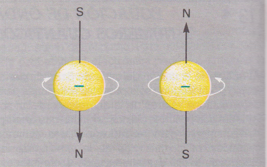 cuarto numero cuantico quarksciencia orbitales at 243 micos y n 250 meros cu 225 nticos cuarto numero cuantico quarksciencia orbitales at 243 micos y n 250 meros cu 225 nticos
