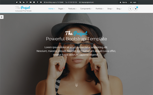 Download The Project - Multipurpose Bootstrap Template v1.0