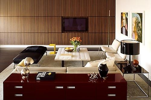 Design Ideas For Bachelor Apartments Design Ideas For Bachelor Apartments