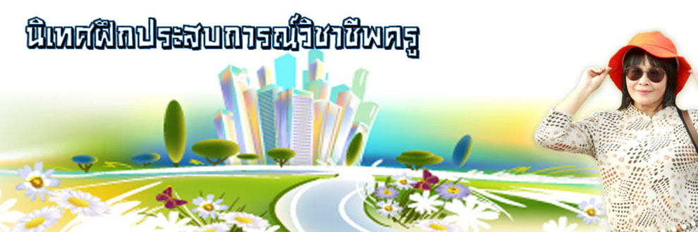 นิเทศฝึกประสบการณ์วิชาชิพครู