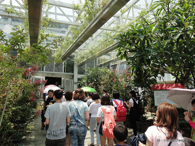 宜蘭｜香草菲菲在玻璃花園浪漫用餐的體驗/吃buffet/賞花草