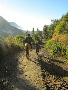 "Pony transport" to stairs of "SERUNI VIEW POINT" to watch "SUNRISE/SUNSET .
