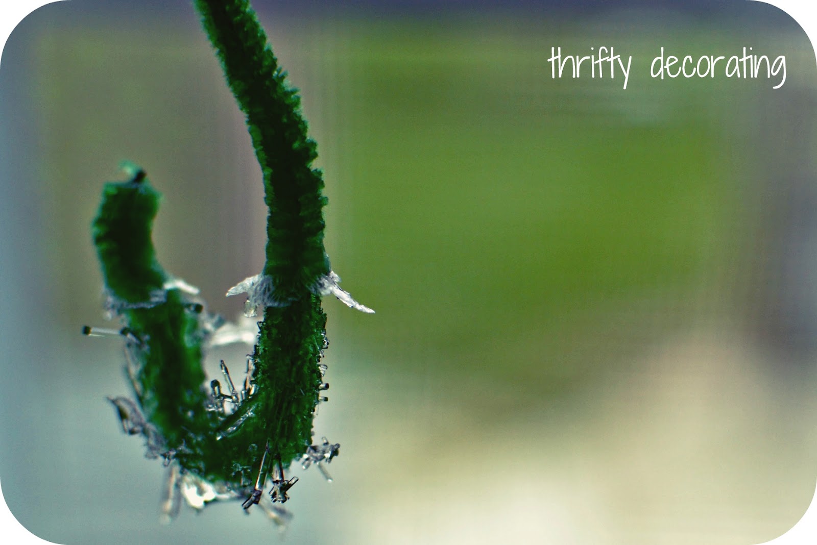 Thrifty Decorating Epsom Salt Crystals