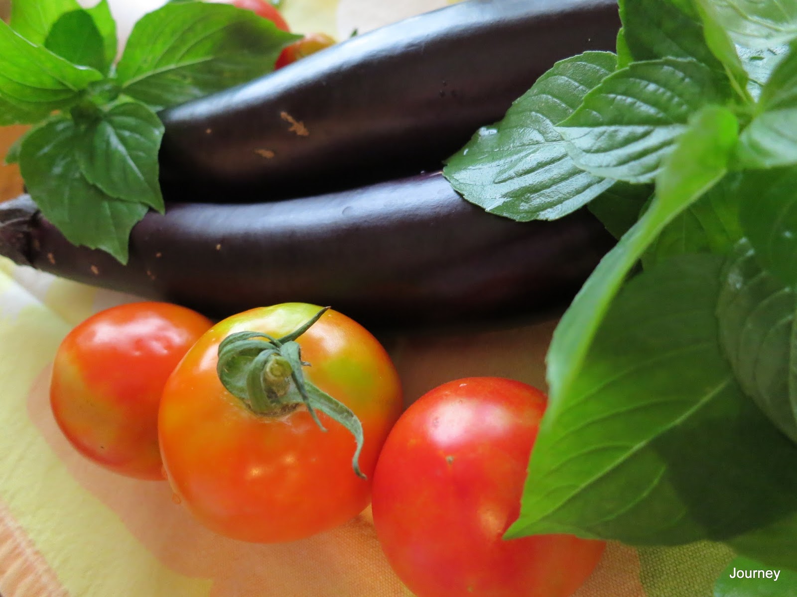 Journey Cucumbers and Eggplant