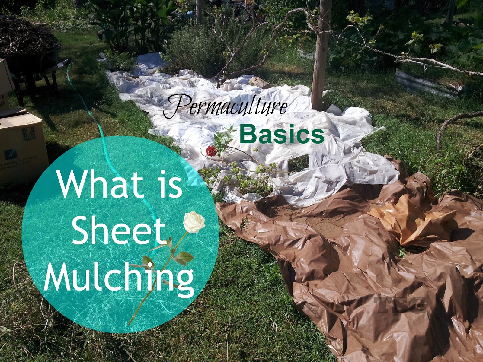 TSG What Is Sheet Mulching?