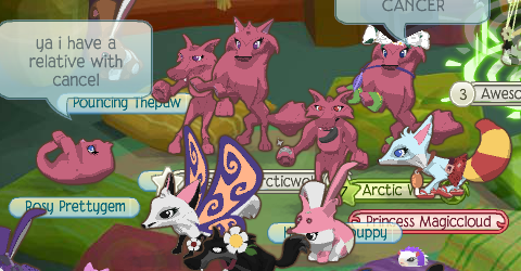 Animal Jam Fox Tracks: August 2013