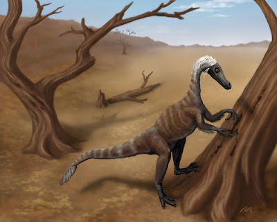 Haplocheirus