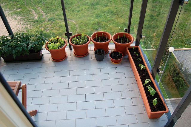 15 lindas sacadas de apartamentos cheias de plantas