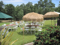 Party, Retirement Party