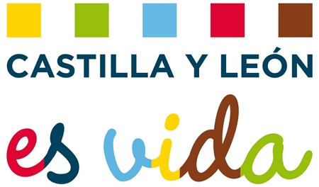 Descanse en paz…. Logo+Castilla+y+Le%C3%B3n+es+vida+medium