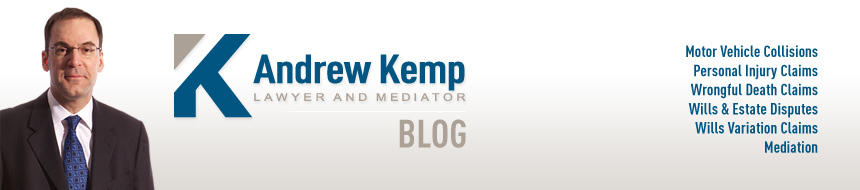 Andrew Kemp, Lawyer and Mediator