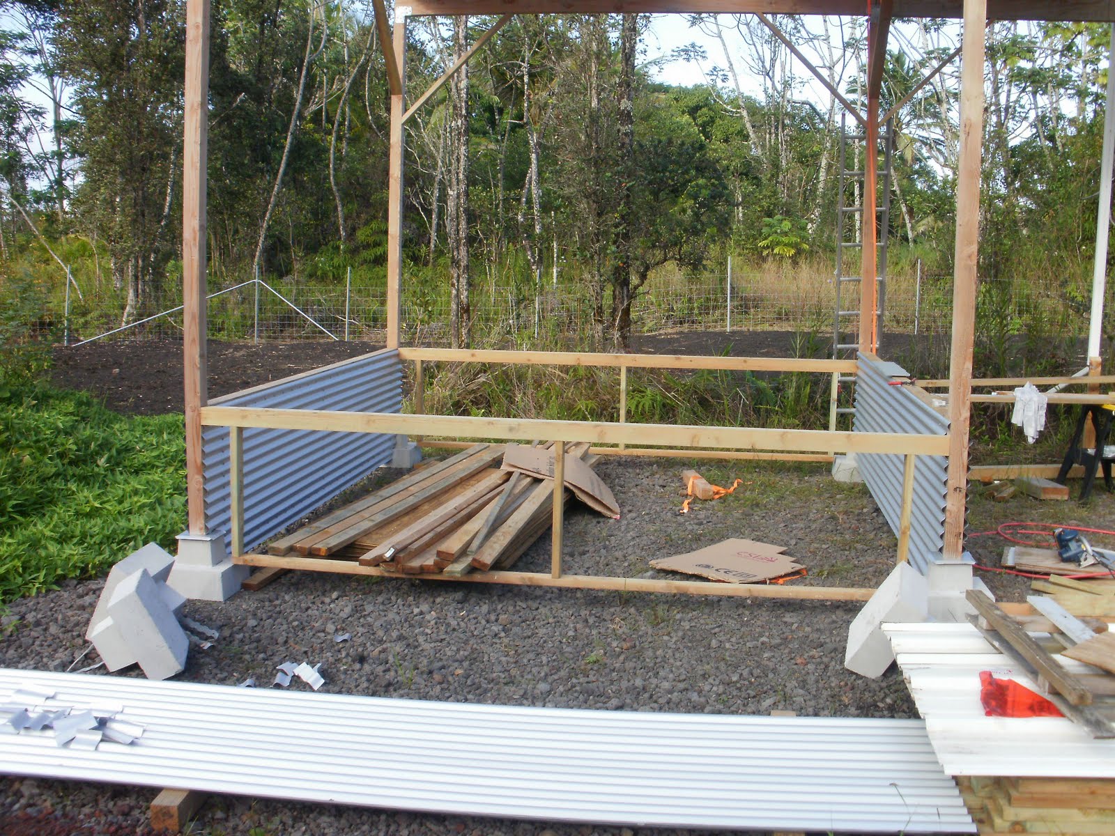 Backyard Piggery