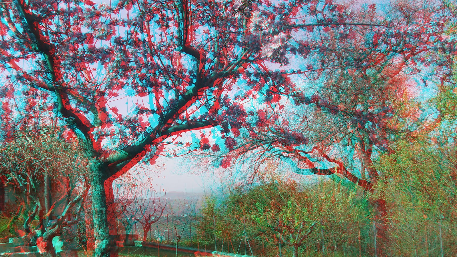 Anaglifi
