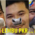 3 Ekor Lembu PKR DI HALAU KELUAR LADANG NFC ... Baka Tak Elok!