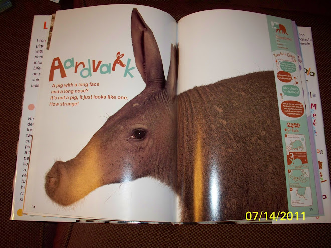 inside of zoo book with actual pictures