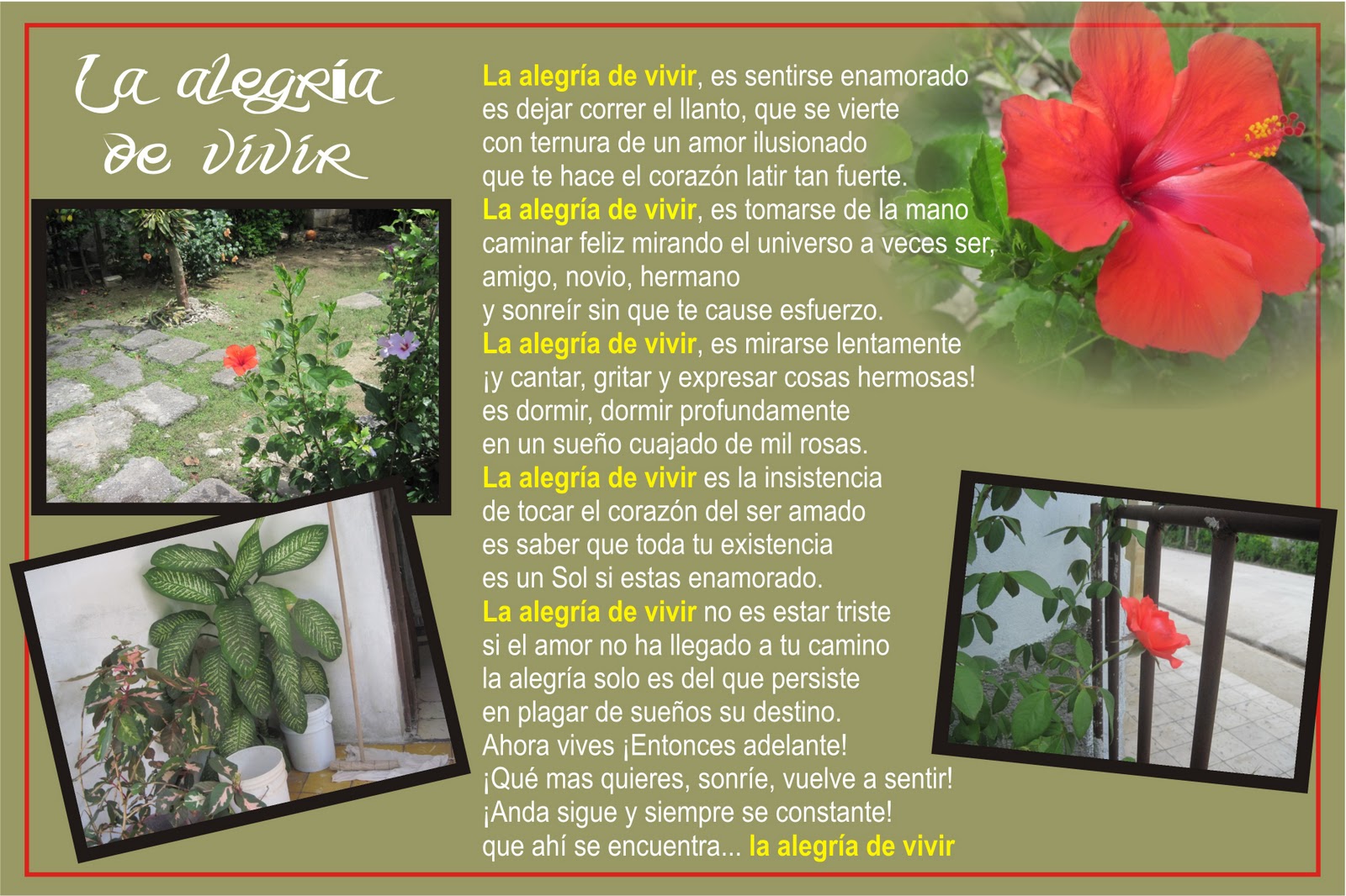 Image result for pensamientos del alma