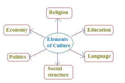 culture elements definition answer simply social
