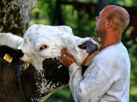 When Humans and Animals Get Along