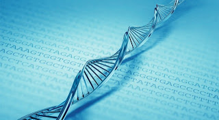 Harvard cracks DNA storage, crams 700 terabytes of data into a single gram  Dna+molecule