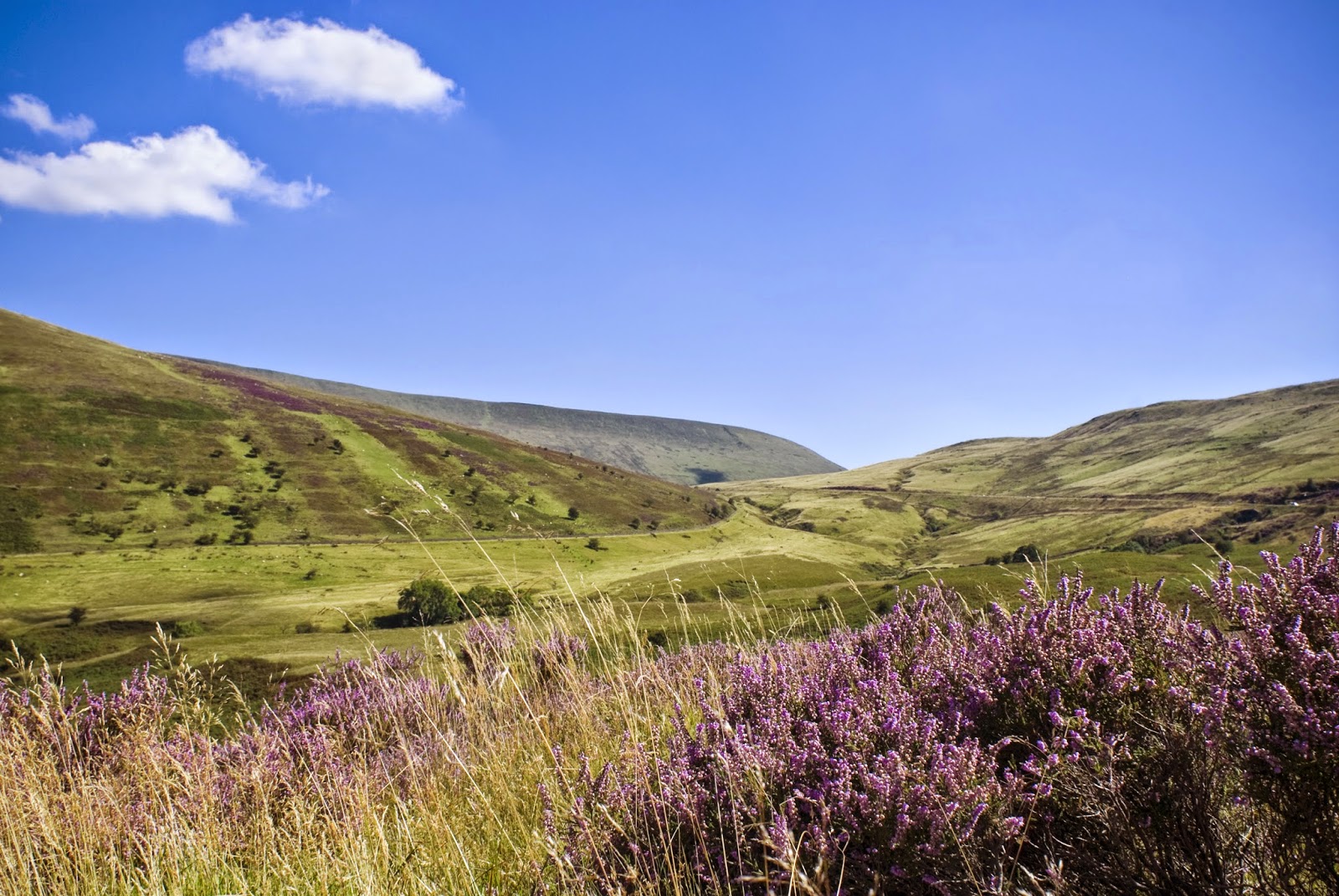 Suze likes, loves, finds and dreams Welsh Week Capturing Rural Wales