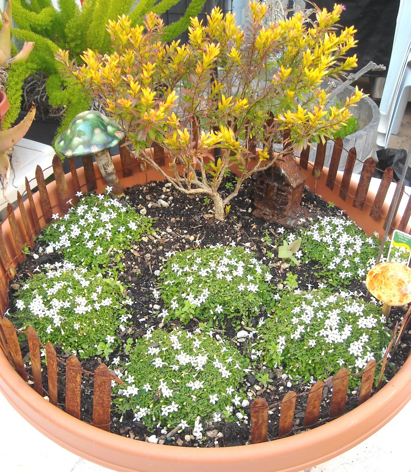 Faerie * Dust * Dreams: How to make a Faerie Garden