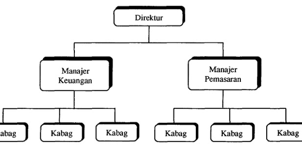Manusia dan Tanggung Jawab Tipe dan Bentuk Organisasi