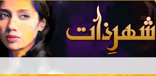 Shehr e Zaat Hum Tv