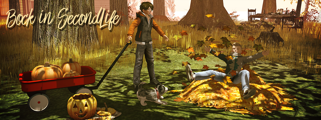 Bock in SecondLife