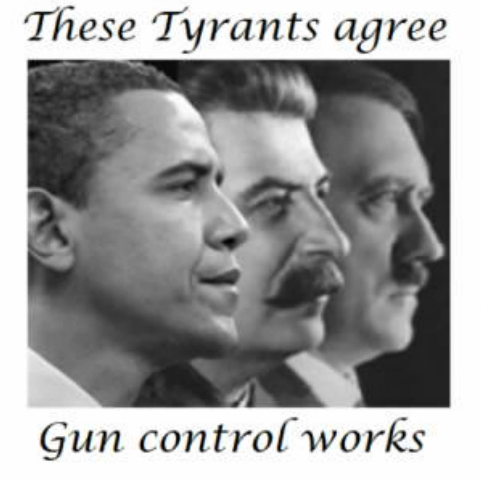 http://4.bp.blogspot.com/-r4WhEaLz-wc/UOxkK9kW8iI/AAAAAAAAOsM/p6gSUZyAIV4/s1600/tyrants-gun-control-1-719356.jpg