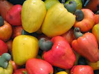 Itapiúna receberá equipamentos de processamento de castanha e fabricação de cajuína
