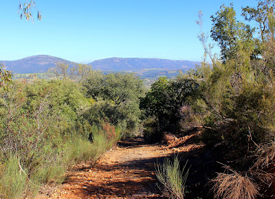 Camino de subida al Puerto de Deleitosa