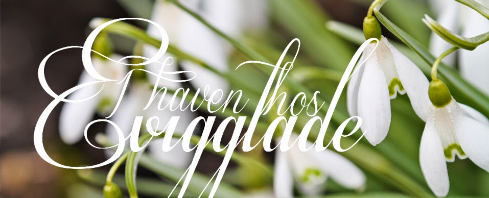 I haven hos Evigglade ♥
