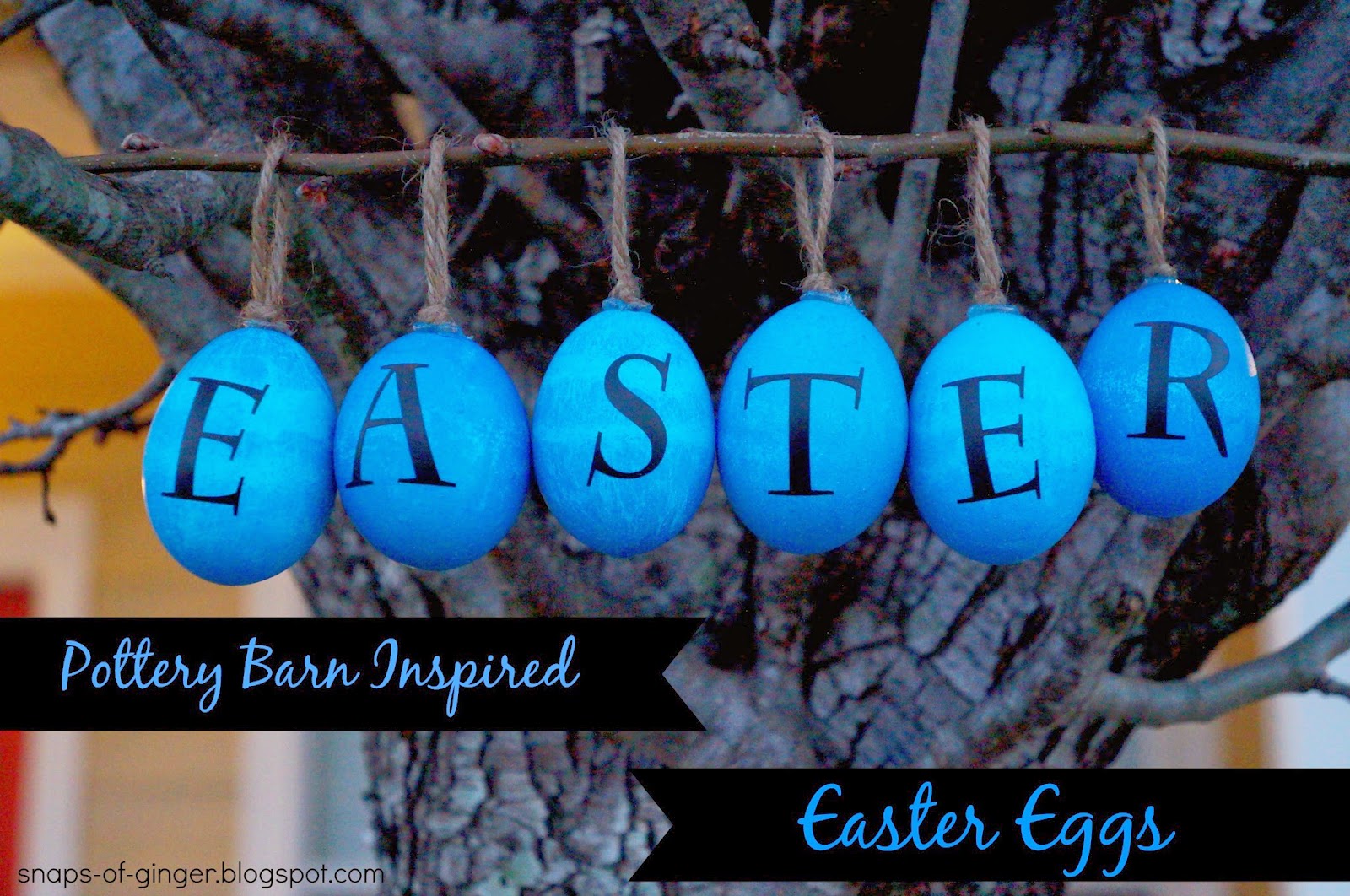 Snaps of Ginger Pottery Barn Inpired Easter Eggs