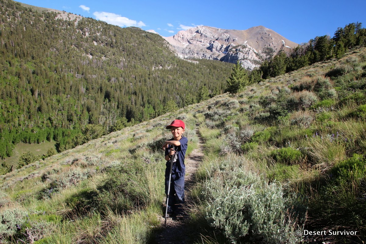 Desert Survivor Hiking up Mount Moriah in the North Snake Range, Nevada