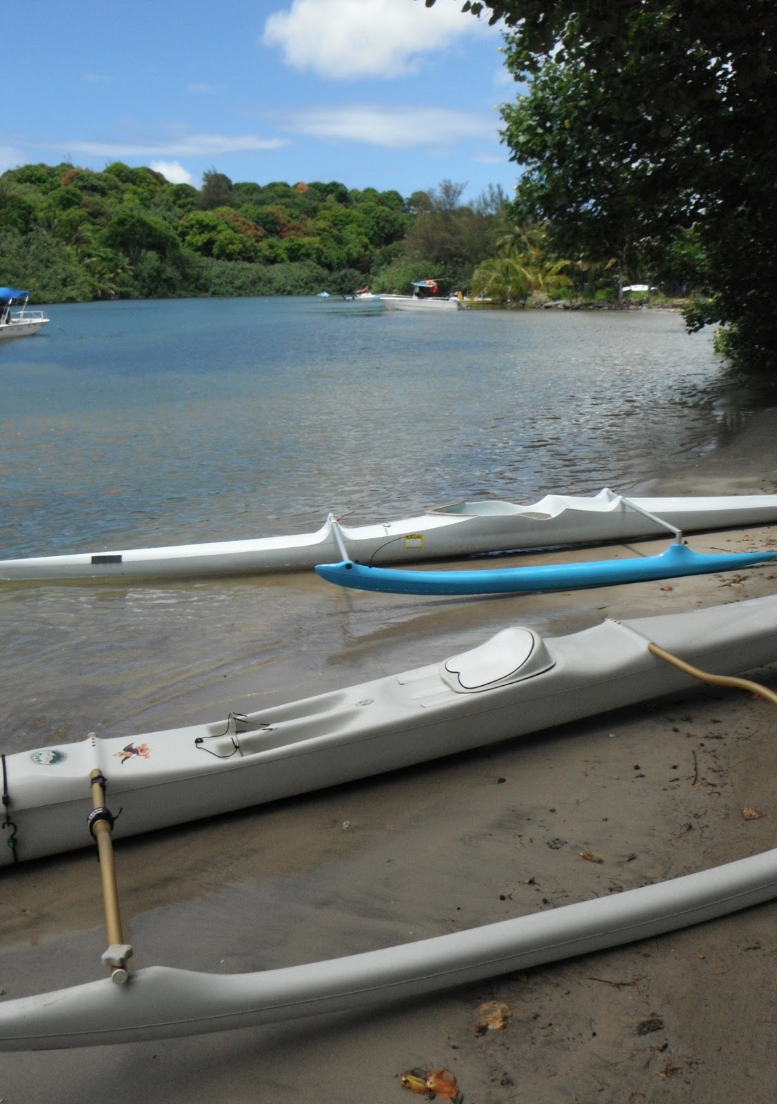 Donnelly Oceantics MORE HOW IT WORKS PAST CANOE RACES