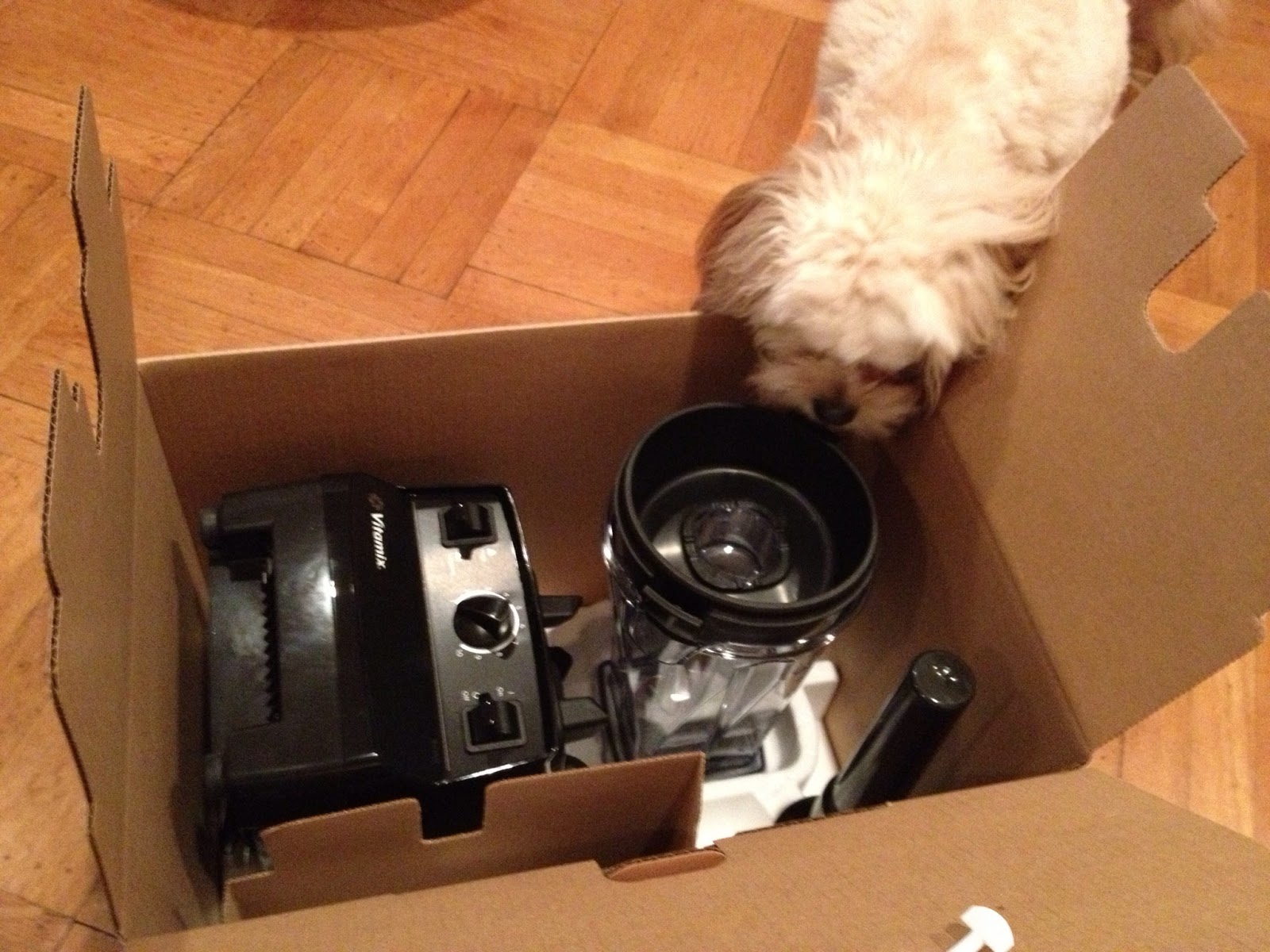 Image result for dog and Vitamix