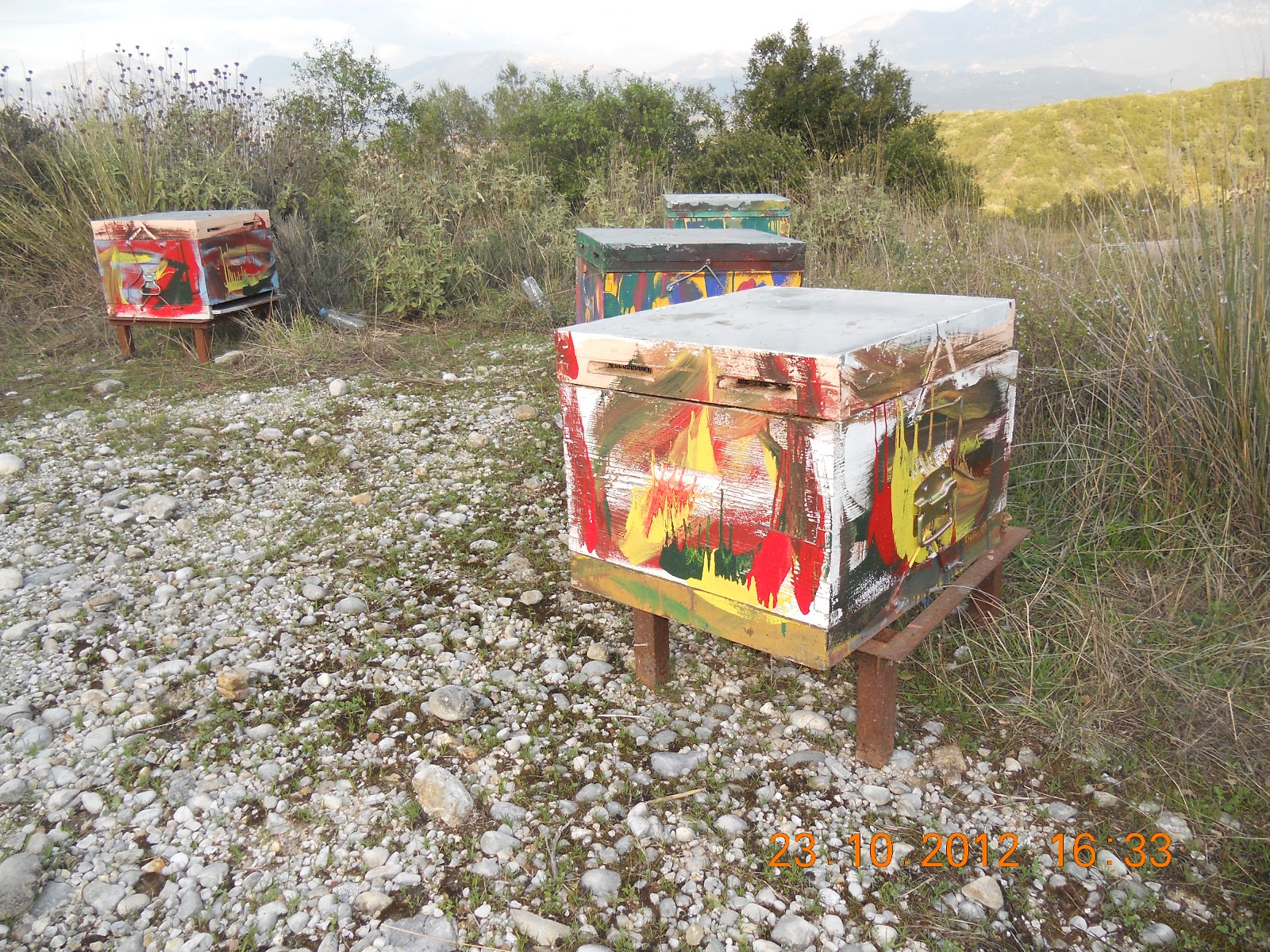 κλοπή μελισσιών Κλοπή μελισσιών