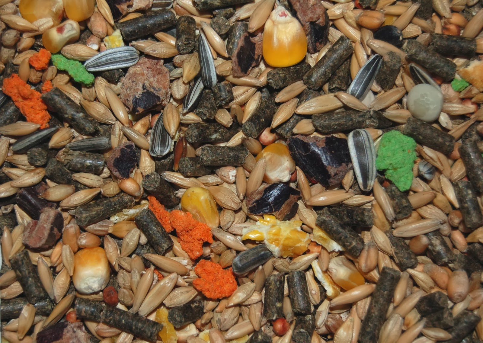 Konijnen en Knaagdieren Voer voor konijnen